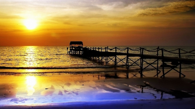 星空体育：胸肌训练计划器材